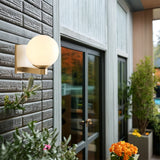 Torch Globe Indoor/Outdoor Sconce