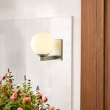 Torch Globe Indoor/Outdoor Sconce